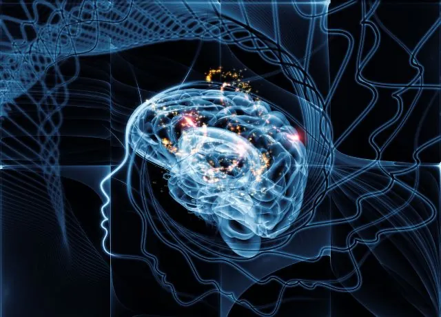 Illustration du cerveau et des réseaux neuronaux
