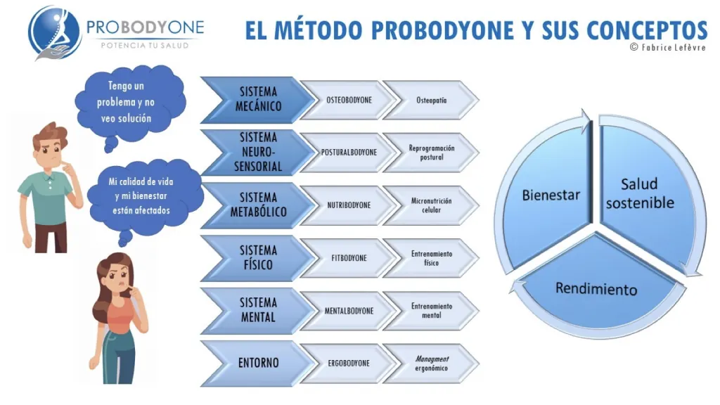 Schéma de la méthode Probodyone et de ses concepts